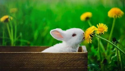 kaiyun 开云体育-费城76人恩比德连续“30+”表现，领先联盟！，恩比德和76人的合同